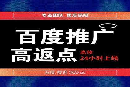 百度优化推广案例剖析：某电商平台的成功之路